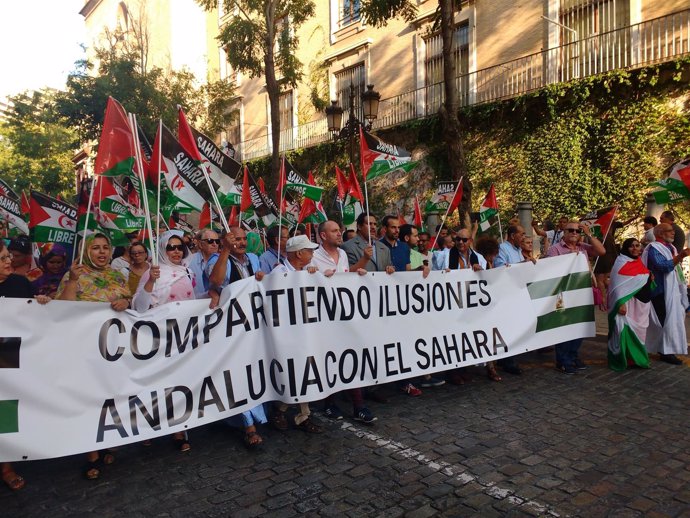 Marcha por la Paz en el Sáhara