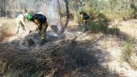 Controlado el incendio forestal de Bonares y estabilizado el de Aroche (Huelva)