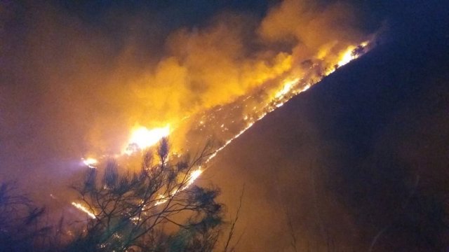 Incendio forestal en Cártama (Málaga)