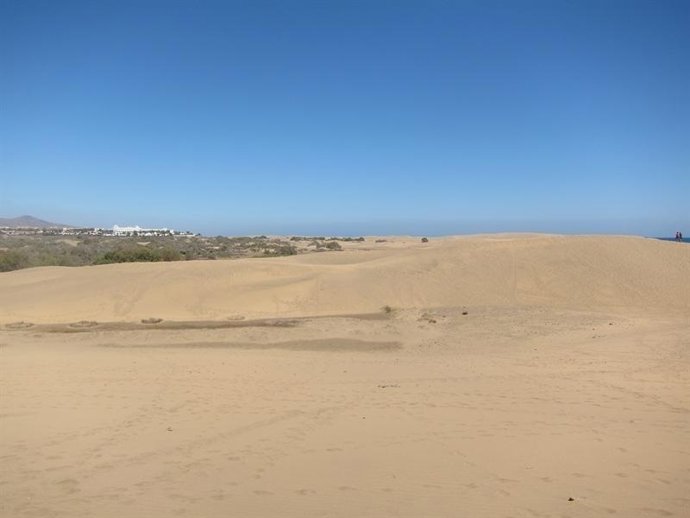 Dunas