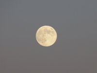 Las piscinas del Complejo Deportivo San Jorge de Huesca invitan a los oscenses a "tomar la luna"