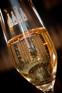 Consell Regulador del Cava