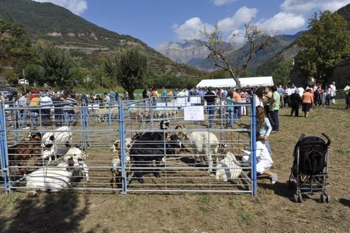 Una de las ferias de la provincia de Huesca a las que ayuda la DPH 