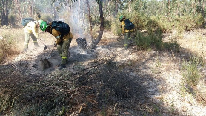 Incendio forestal en la provincia de Huelva