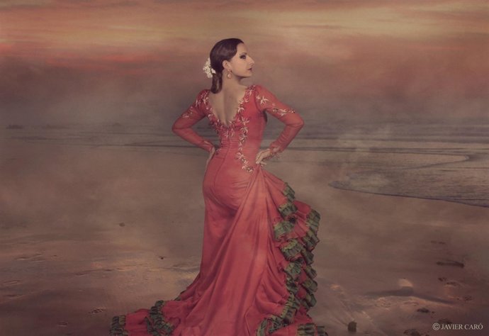 Luisa palicio málaga bienal arte flamenco diputación