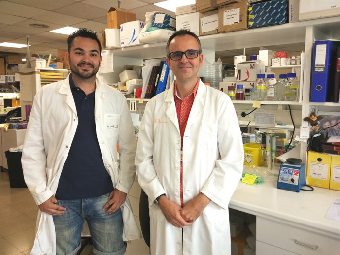 Els investigadors S.Gonçalves i D.García-Molleví
