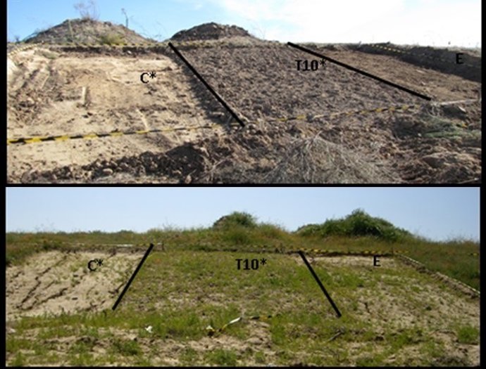 Estiércol en taludes sin vegetación para restaurar