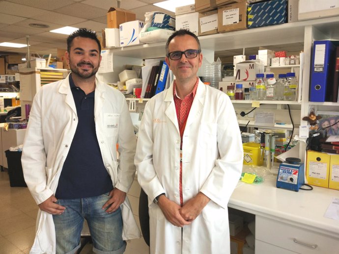 Los investigadores S.Gonçalves y D.García-Molleví