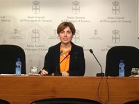 El PP reprocha al Principado su voto contra el techo de gasto que acerca al PSOE "sigilosamente" a Podemos