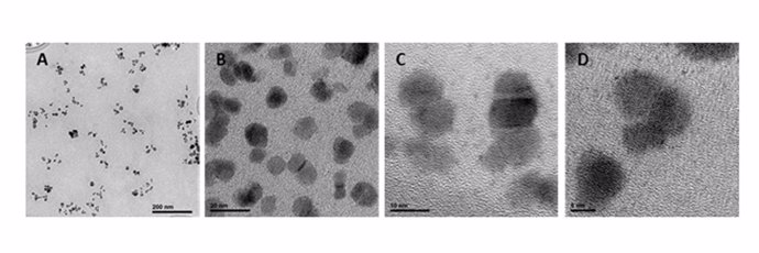 Nanopartículas de óxido de hierro son portadoras de antitumorales