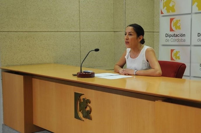 Pozuelo presenta la convocatoria de subvenciones