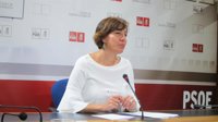 PSOE lamenta que PP C-LM "no se alegre" de que el sistema sanitario "goce de buena salud"