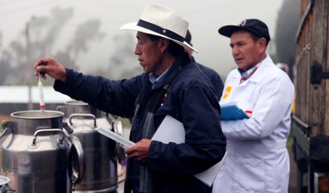 Cooperación y Desarrollo