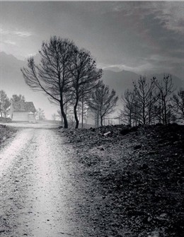 Una de las imágenes del trabajo de David Flores