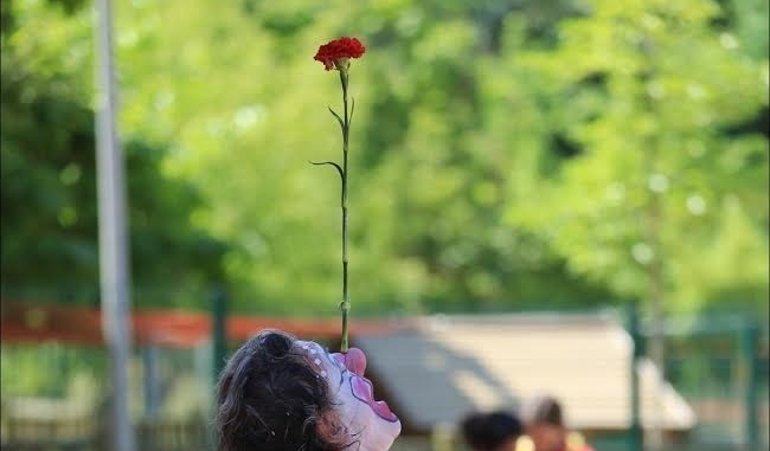 Cooperación y Desarrollo