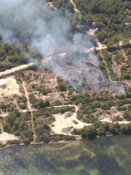 Incendio en Es Llac Gran de Alcúdia