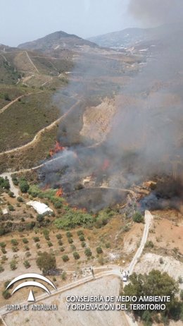 Declarado un incendio en el paraje de La Gorgoracha, en Vélez de Benaudalla