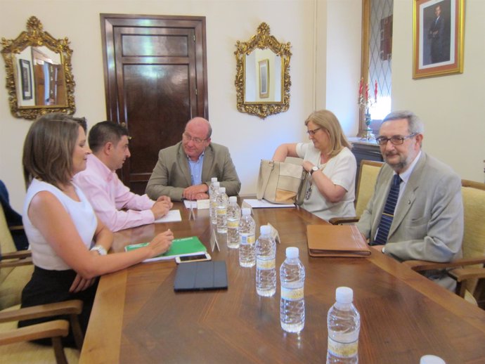 Reunión sobre el Museo Íbero                      