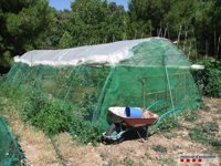 Descubren a una banda de narcos al colgar en Facebook que habían agredido a dos rivales