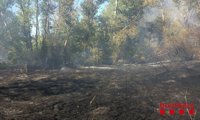 Ocho dotaciones de bomberos trabajan en un incendio en el Parc de la Mitjana de Lleida