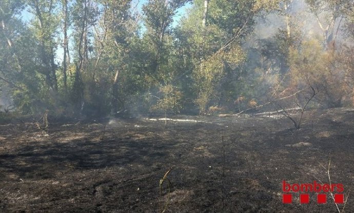  Incendi En El Parc De la Mitjana De Lleida