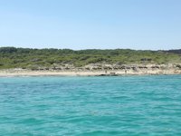 El GOB pide que se acabe con el tránsito "reiterado" de caballos por las dunas de Sa Canova