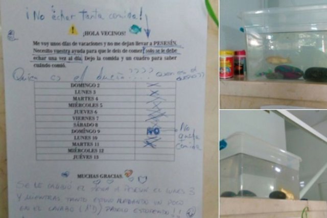 Dejan un pez en el portal de una comunidad para que los vecinos cuiden de él