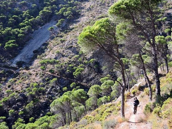 Gran Senda turismo senderismo málaga medio ambiente naturaleza 