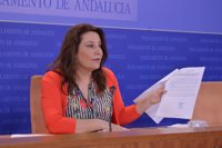 PP-A garantiza que "cuando nos llamen" para "dialogar" sobre la RTVA "vamos a estar"