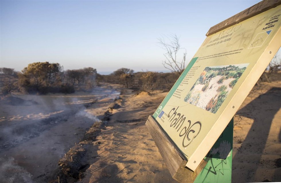 Incendio en el parque natural de Doñana (Huelva)