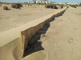 Sistema dunar en l'Empordà