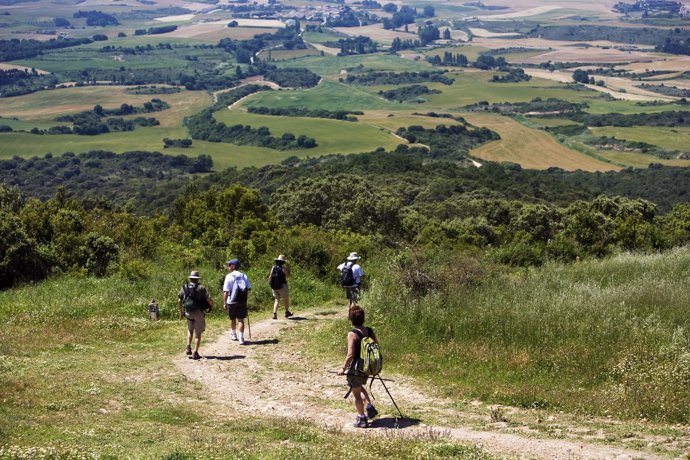 Camino de Santiago