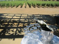 Tejerina define el cava como un "embajador de lujo" y Serret destaca su éxito