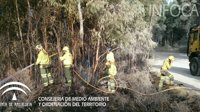 Controlado el incendio forestal en un paraje de Niebla (Huelva)
