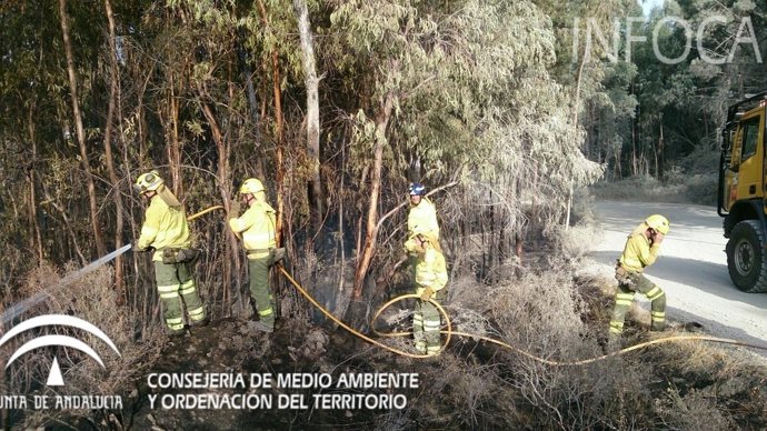 Trabajos de liquidación por un incendio forestal en Niebla (Huelva)