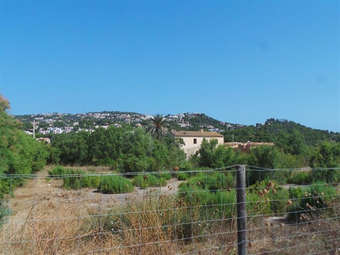 Finca de Ca'n Fasser