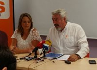 Delgado (Cs) pide al Gobierno que acelere la ejecución de la A-11 para "vertebrar" CyL y por motivos de seguridad