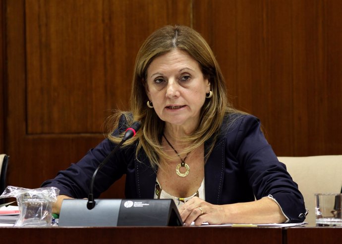 Marina Álvarez en la Comisión de Salud en el Parlamento