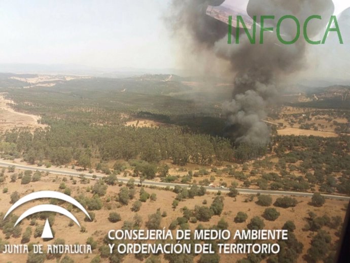 Incendio forestal en Zalamea la Real. 