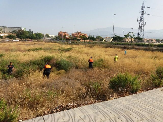 Dispositivo de búsqueda hombre anciano torre del mar vélez voluntarios desaparec