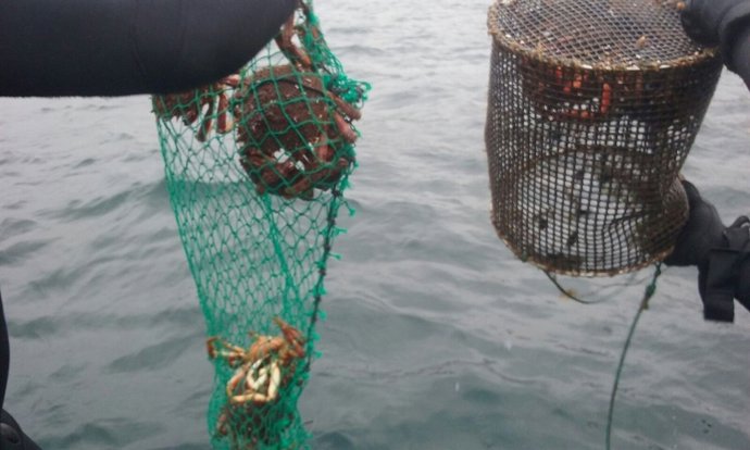 Intervenidos más de 360 kilos de pescado y marisco en Galicia