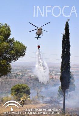 Estabilizado el incendio en el paraje de la Alhambra