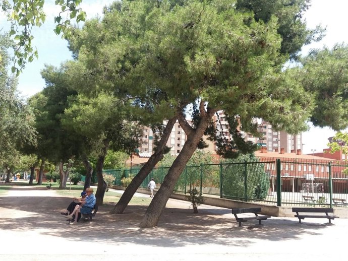 El PP exige la poda urgente de árboles en La Almozara
