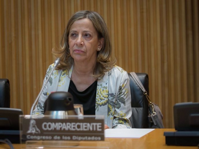 Carmen Navarro, tesorera del PP
