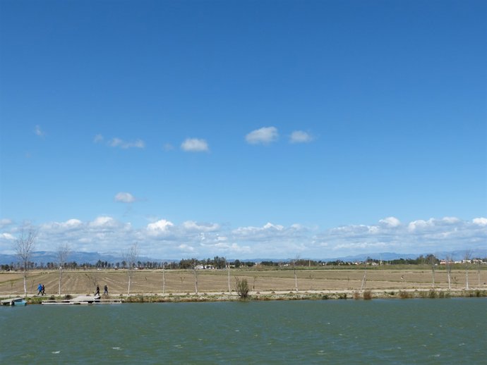 Delta de l'Ebre, Delta de l'Ebre
