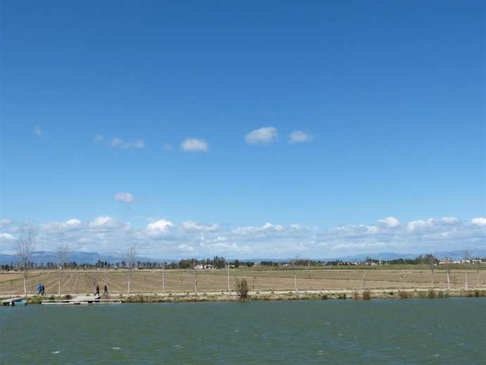 Delta de l'Ebre, Delta de l'Ebre