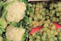 España, primer país europeo en superficie dedicada a producción ecológica con 2 millones de hectáreas, según el Gobierno