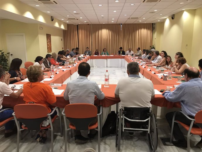 Reunión del Consejo Andaluz de Discapacidad con la consejera Sánchez Rubio
