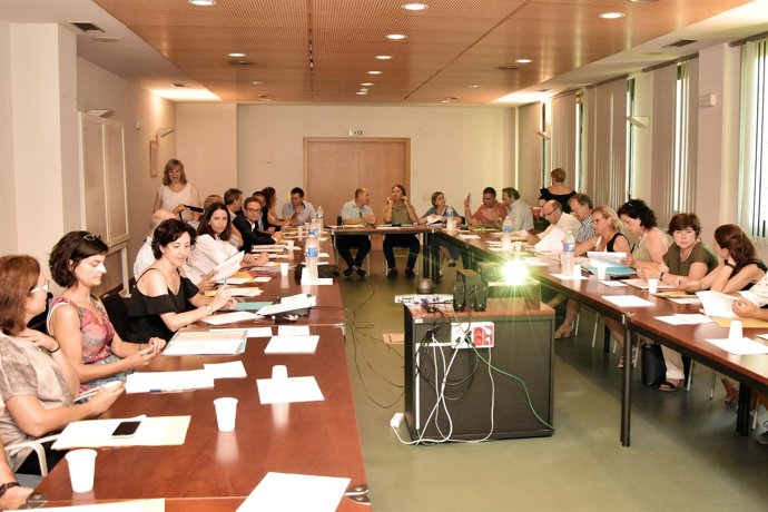 Reunión del comité del Ib-salut