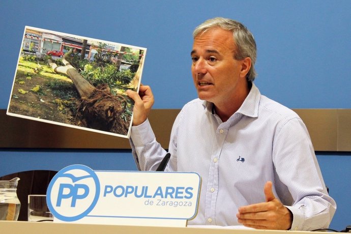 Jorge Azcón (PP) muestra una foto del árbol caído en Delicias